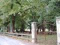 Chavanne bei Thonon im Chablais, Frankreich. Auf einem der alten Kastanienbäume musste Franz von Sales vor Wölfen Schutz suchen und in der Baumkrone übernachten.